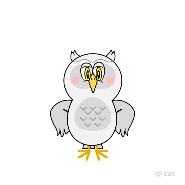 Búho blanco seguro de sí mismo