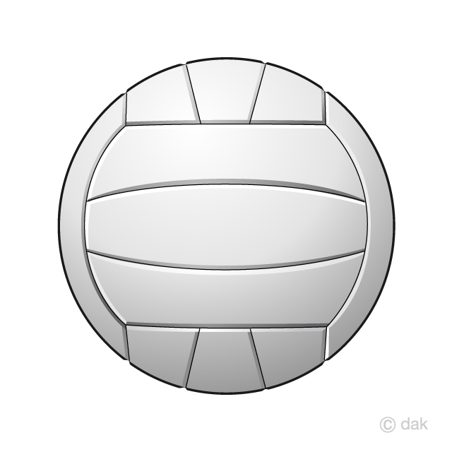 Volleyball Ball