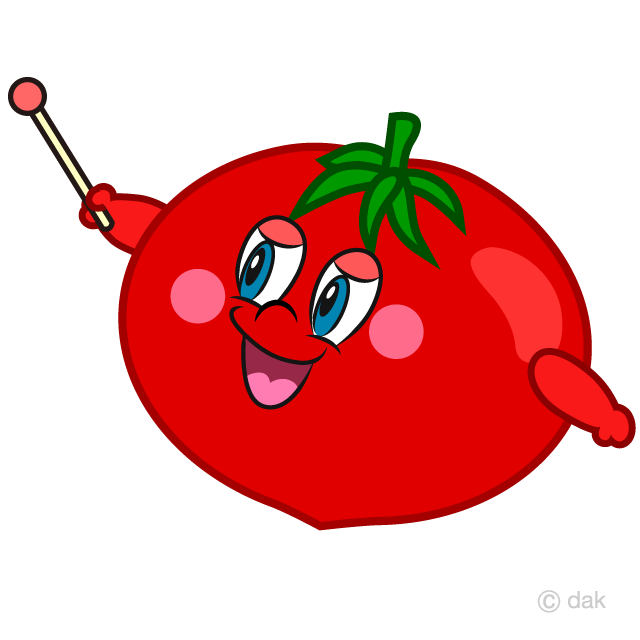 Explain Tomato