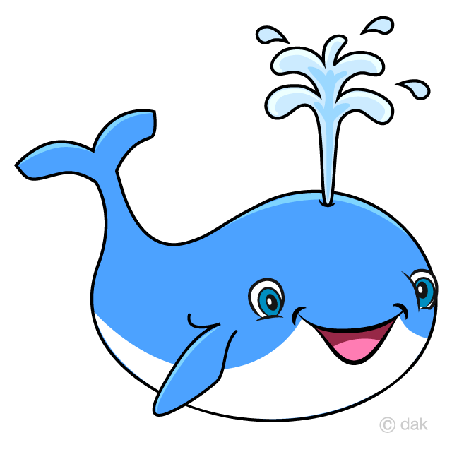 Cute Whale