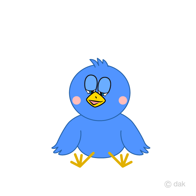 Relaxing Blue Bird