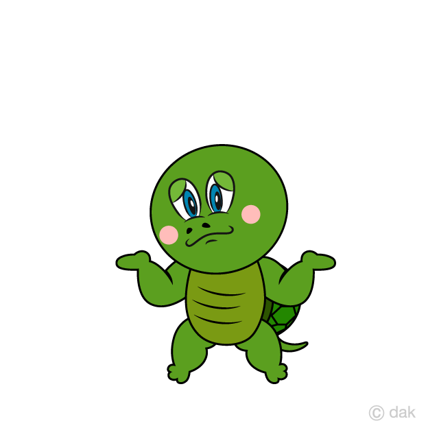 Troubled Turtle