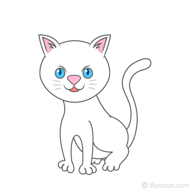 White Cat