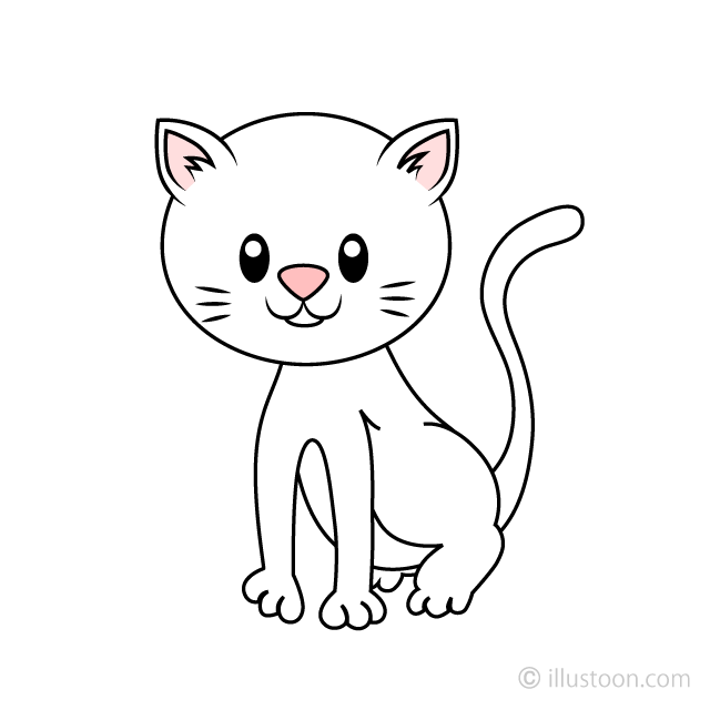 Gatito blanco