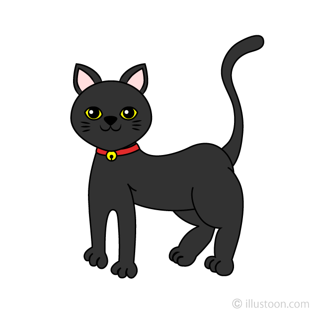 Black Cat