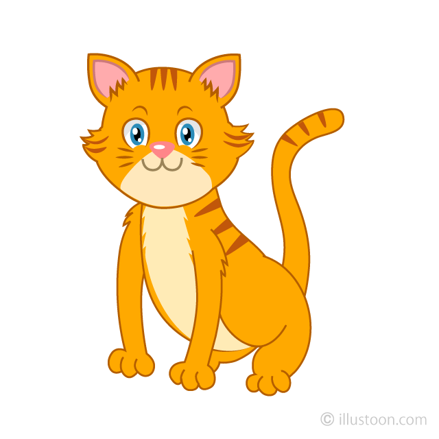 Gato tigre