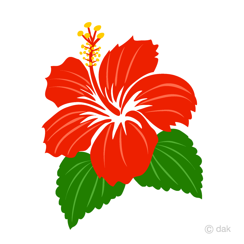 Simple Red Hibiscus