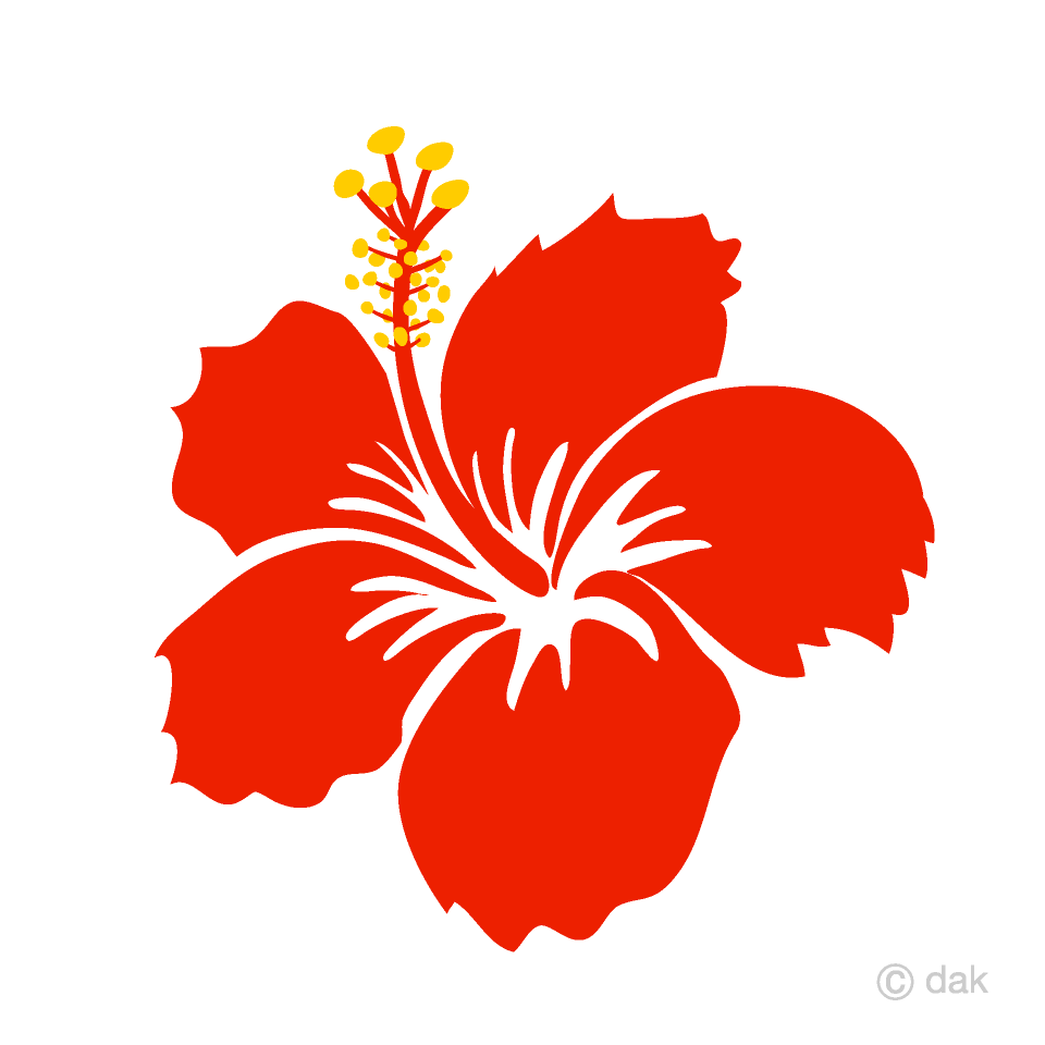 Red Hibiscus Flower