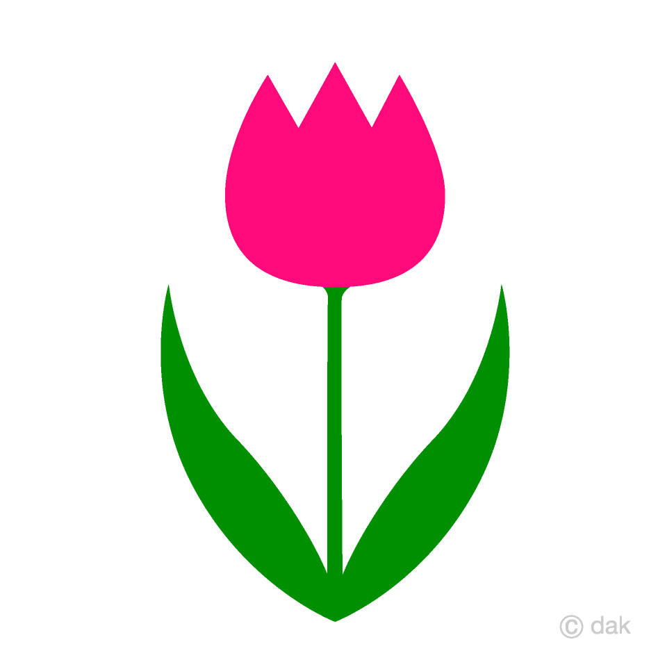 Simple Pink Tulip