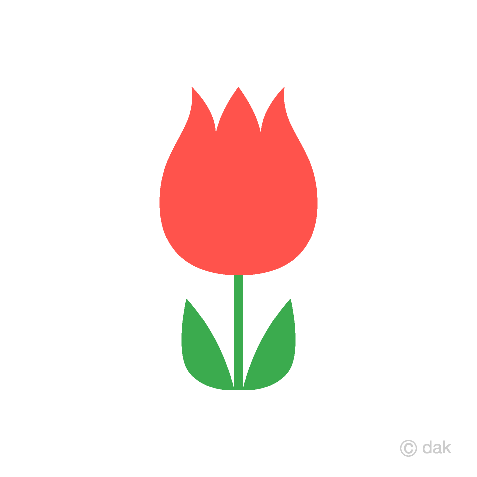 Cute Red Tulip