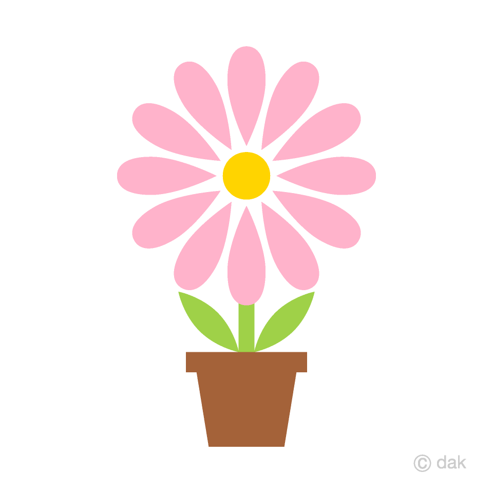 Linda flor silvestre blanca