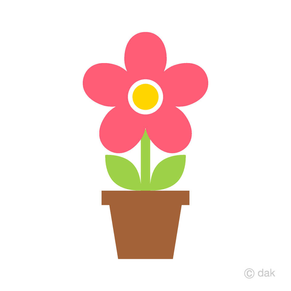 Cute Pink Potted Flower