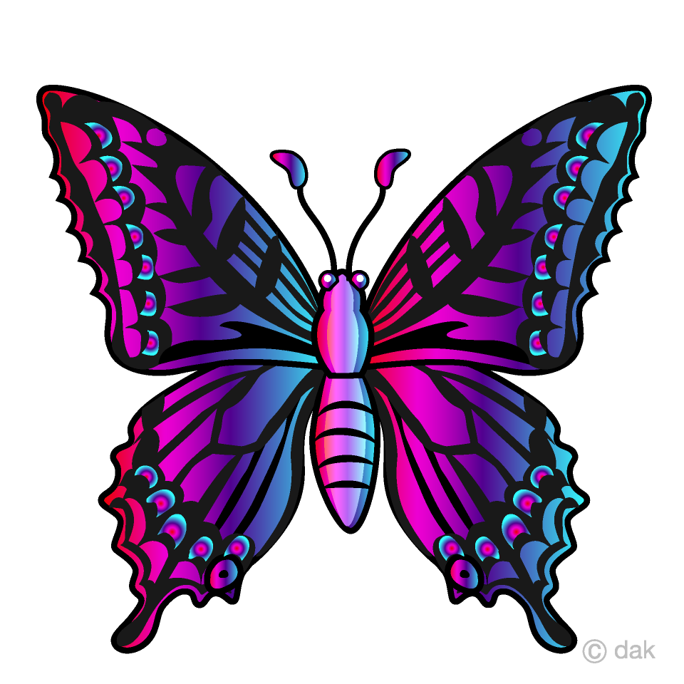 Colorful Butterfly