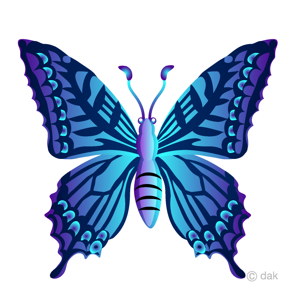 Blue Colorful Butterfly