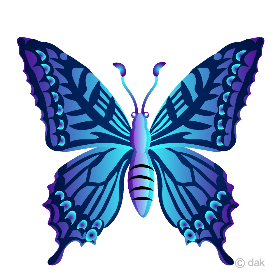 Mariposa arcoiris