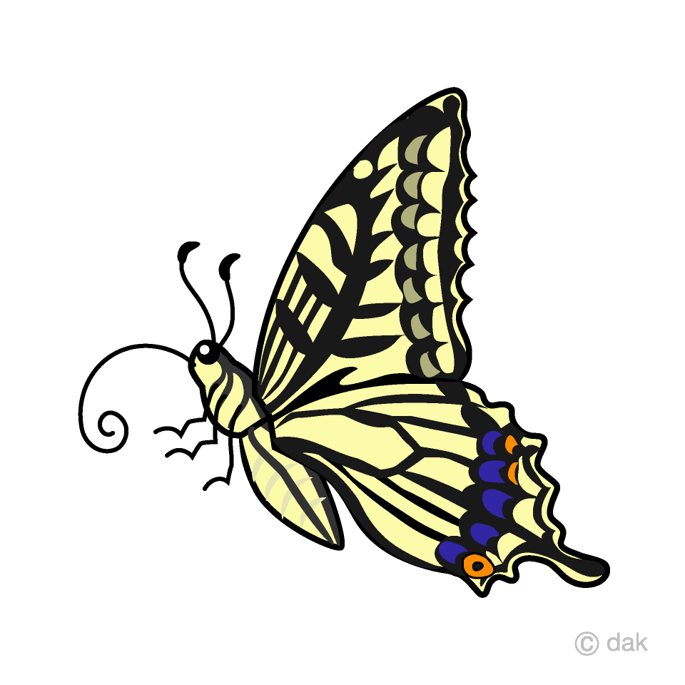Yellow Swallowtail Butterfly with Side