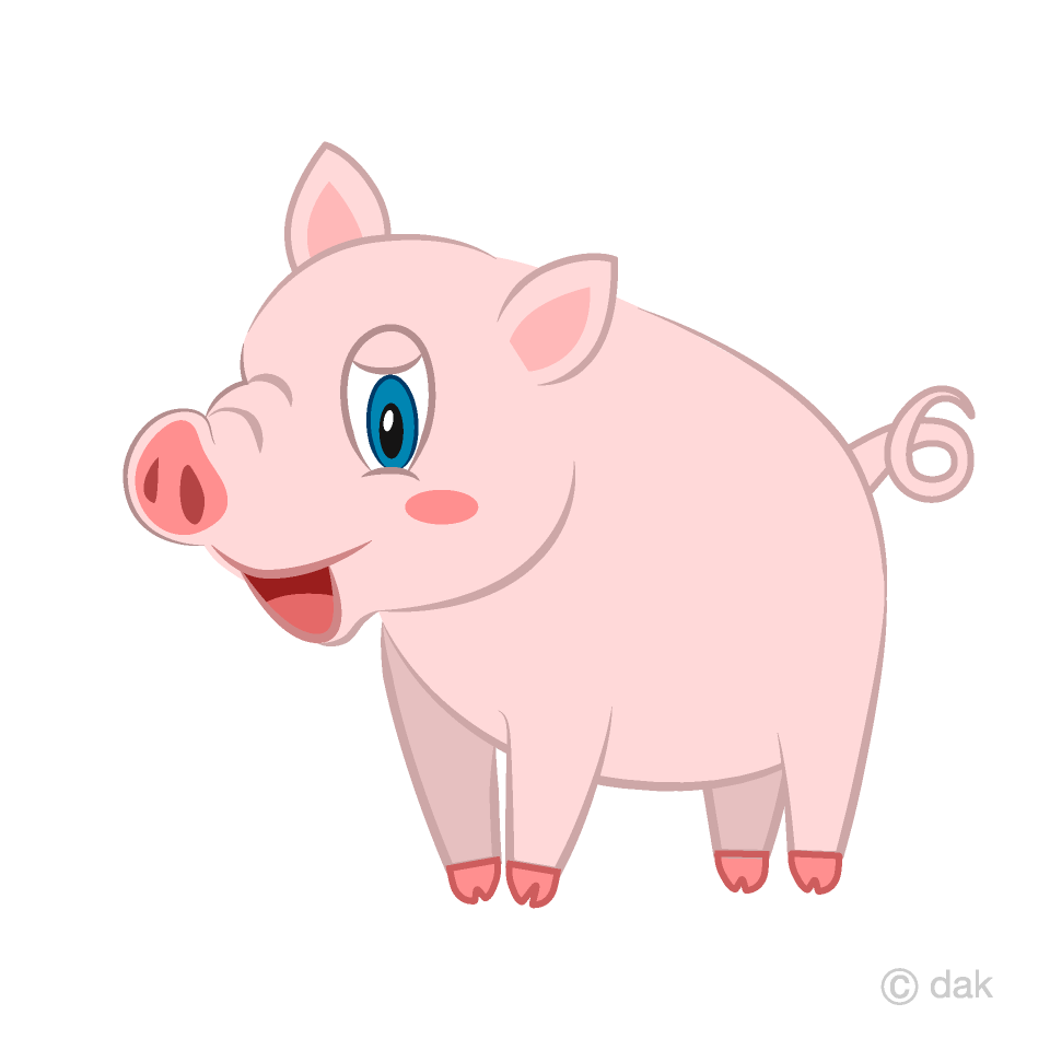 Pig