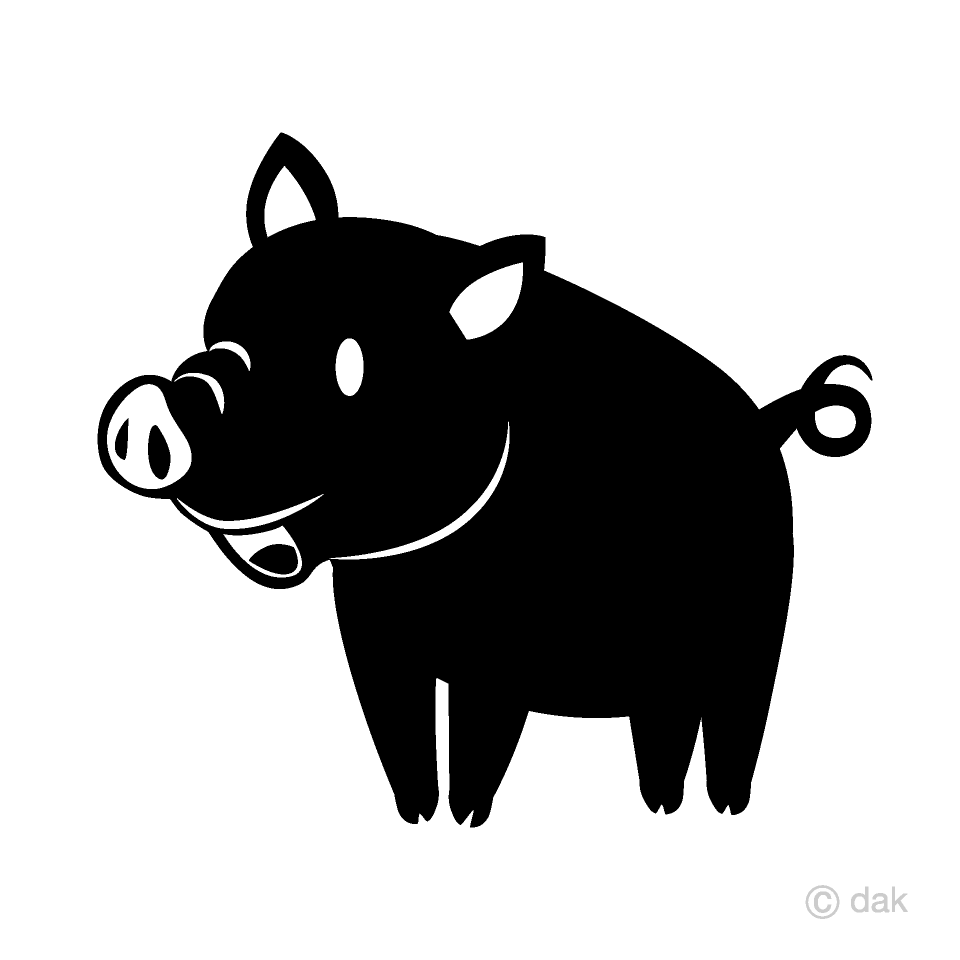 Black and White Pig