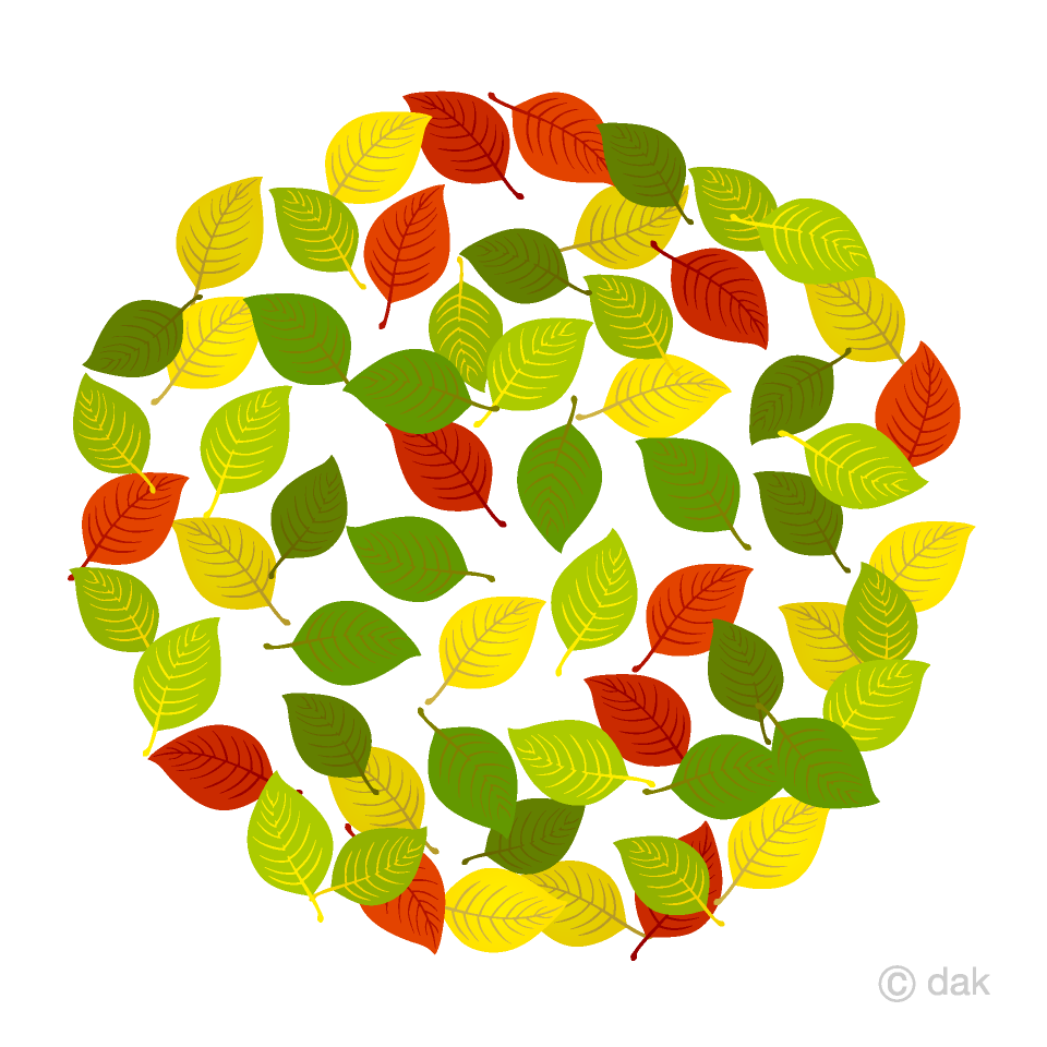 Colorful Leaf Wreath