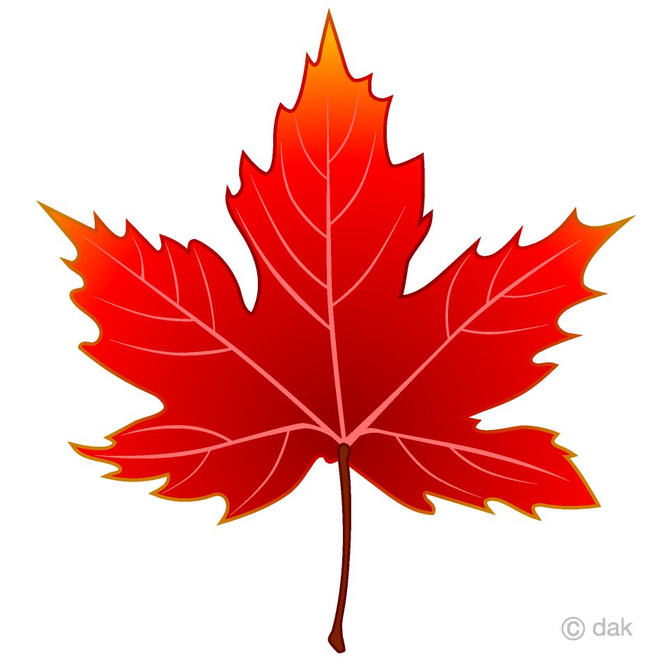 Red Maple Leaf