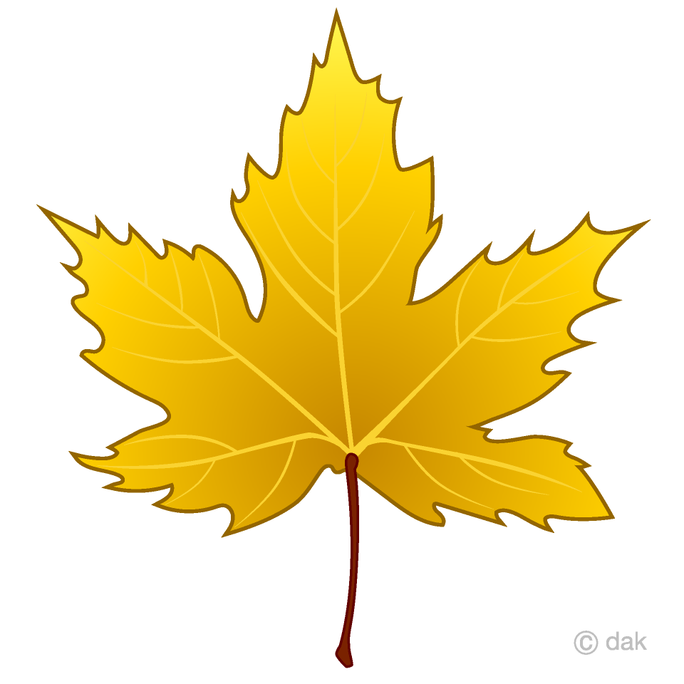 Yellow Maple Leaf