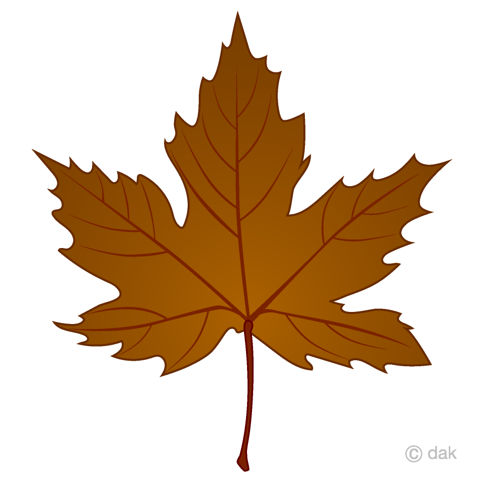 Fallen Maple Leaf