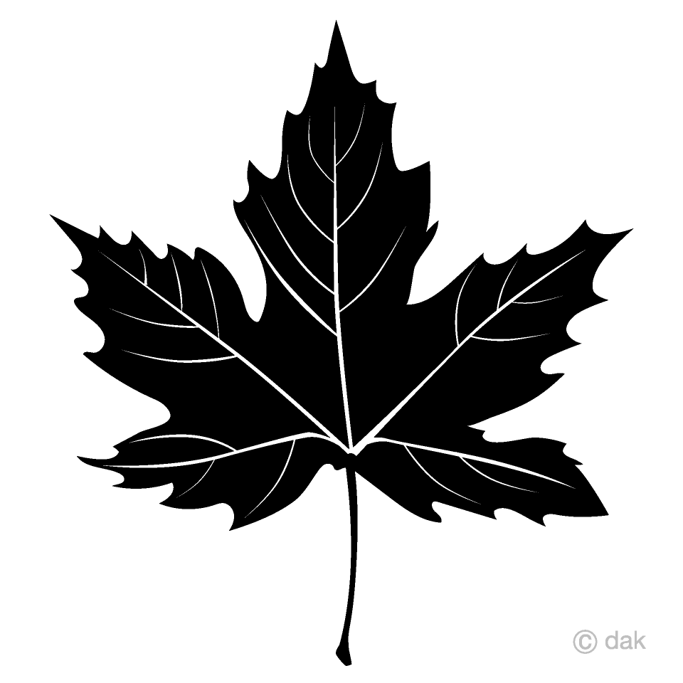 Hoja de arce caída