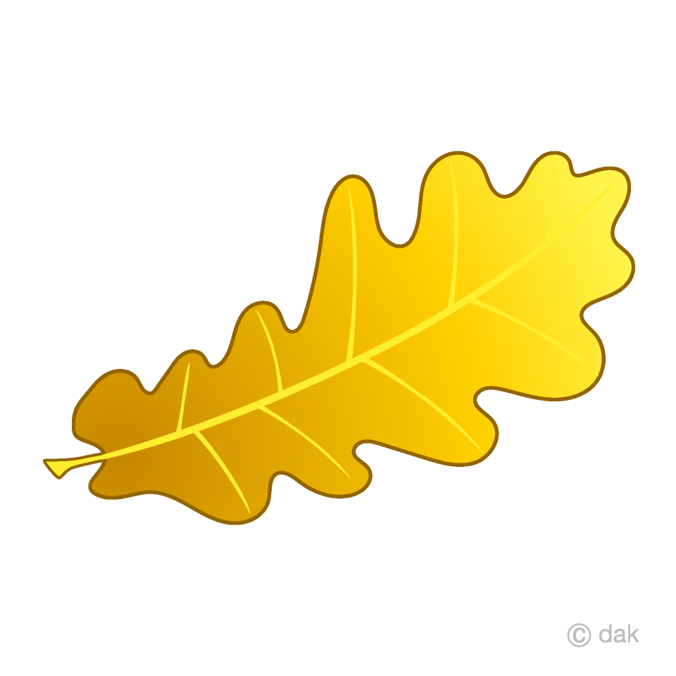 Yellow Acorn Leaf