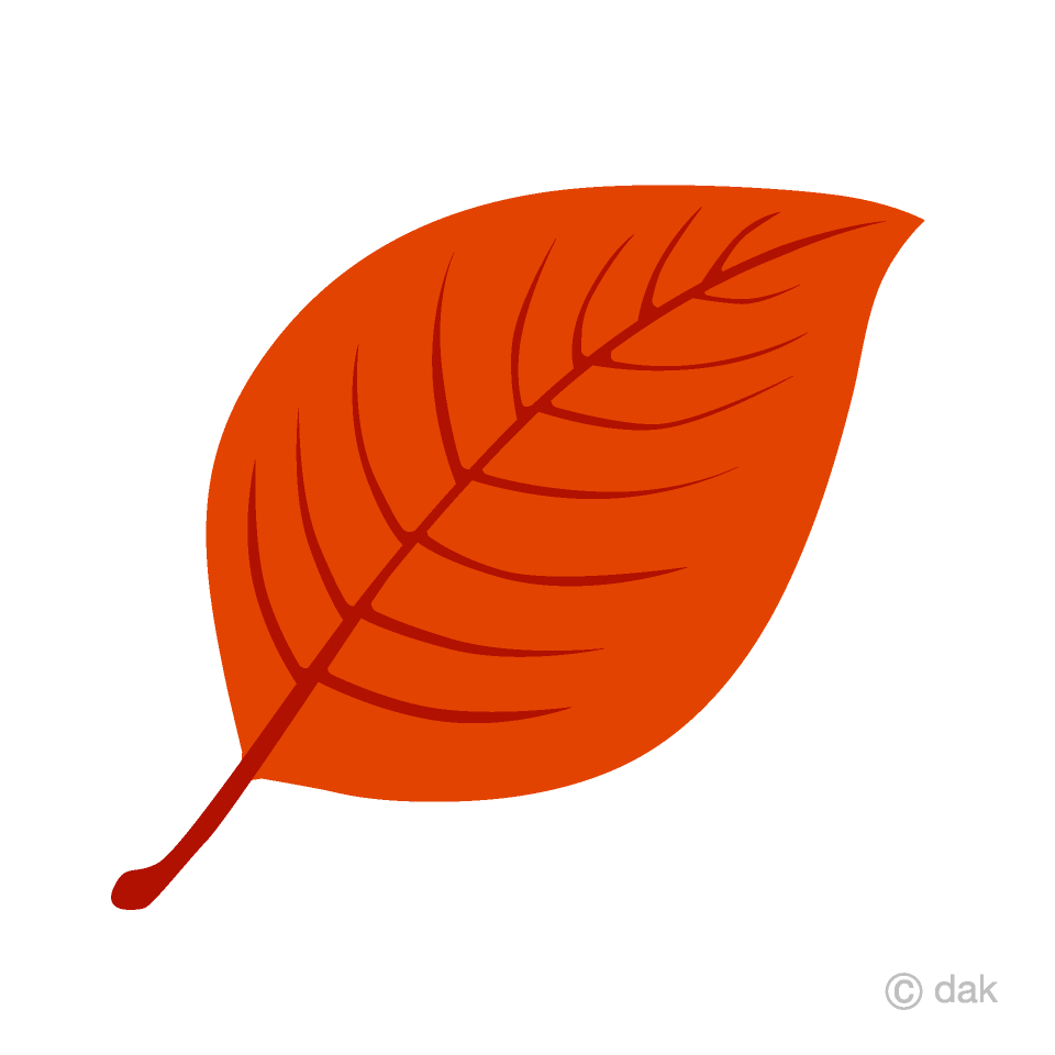 Red Leaf