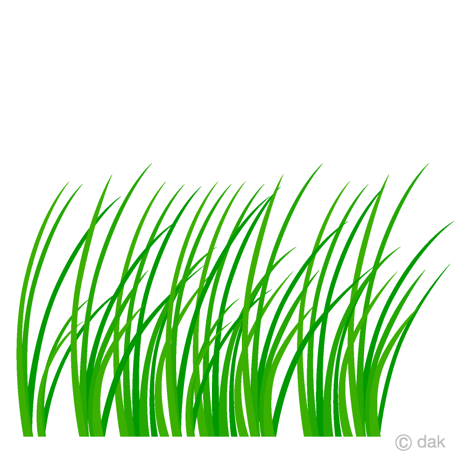 Grass