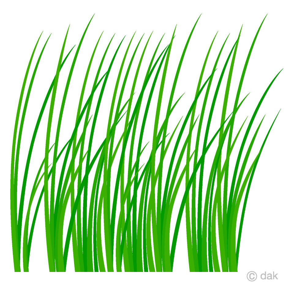 Long Grass