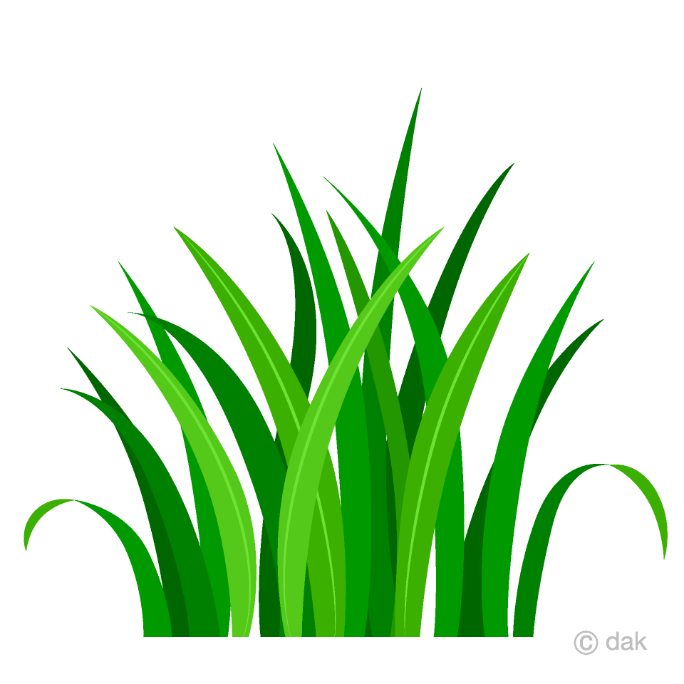 Hierba verde simple