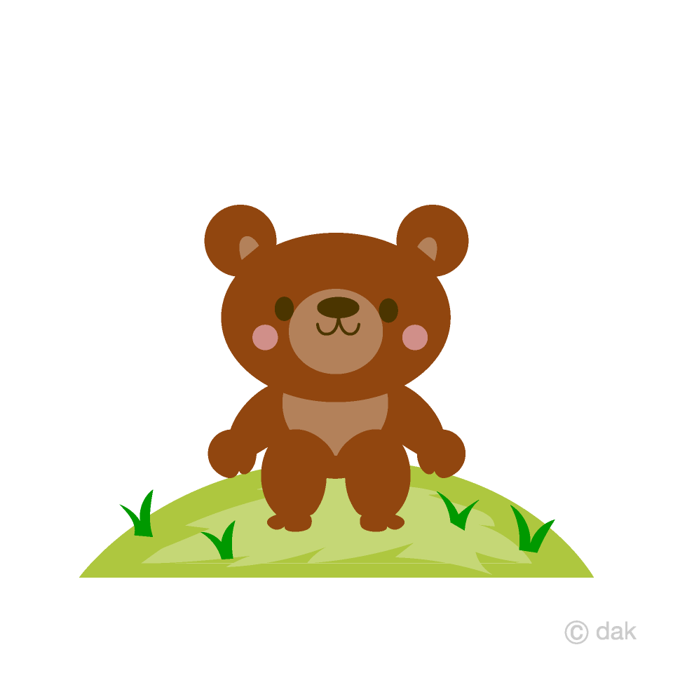 Lindo oso en el campo