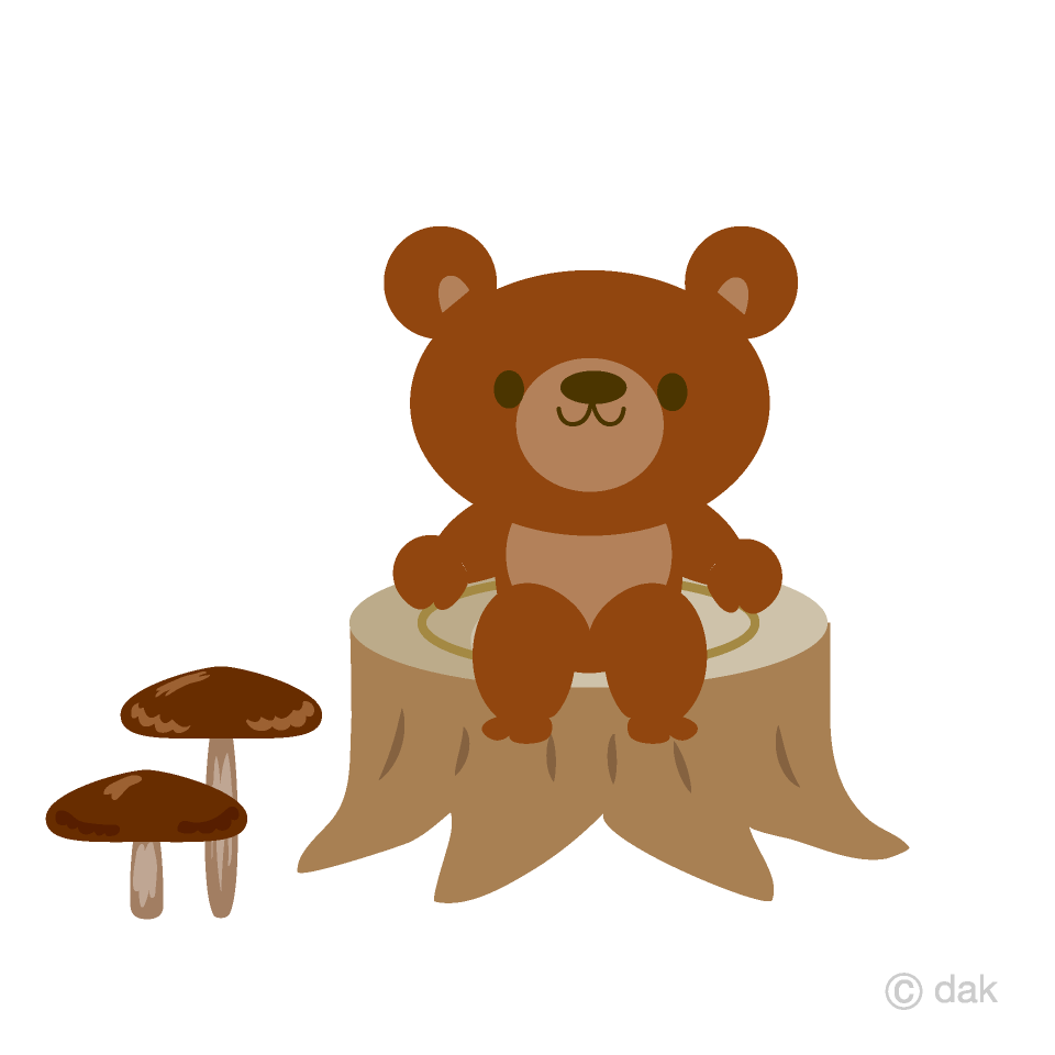 Lindo oso en el bosque