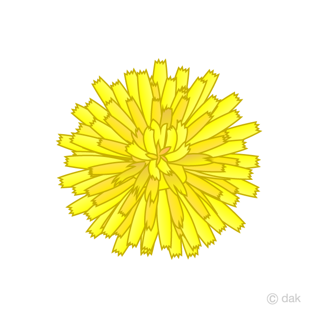 Dandelion Petals