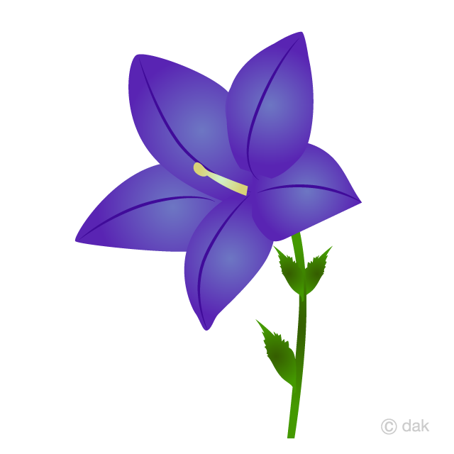 Flor de narciso