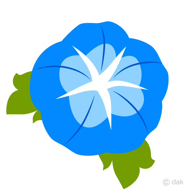 Simple Morning Glory Flower