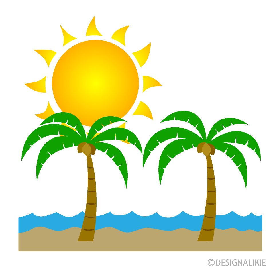 Sol y palmeras