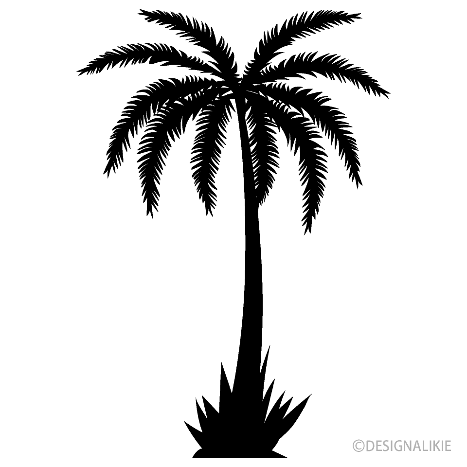Una palmera en blanco y negro