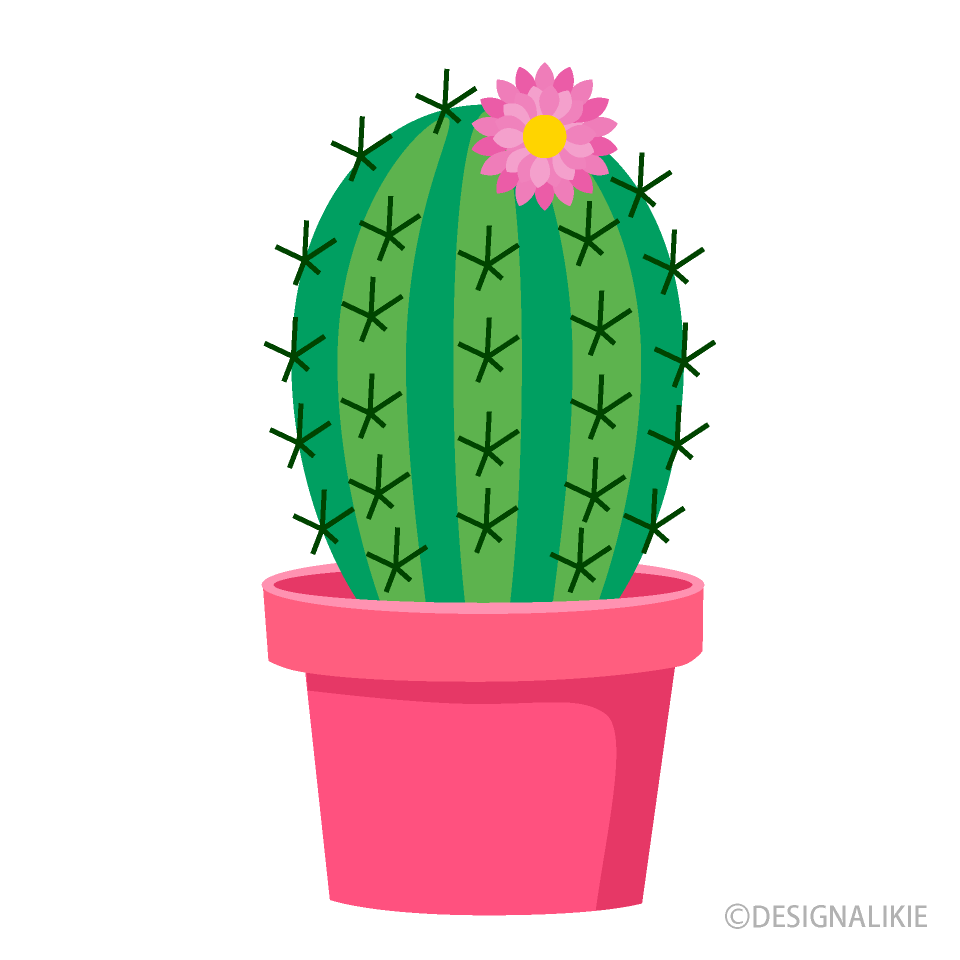 Flower Cactus