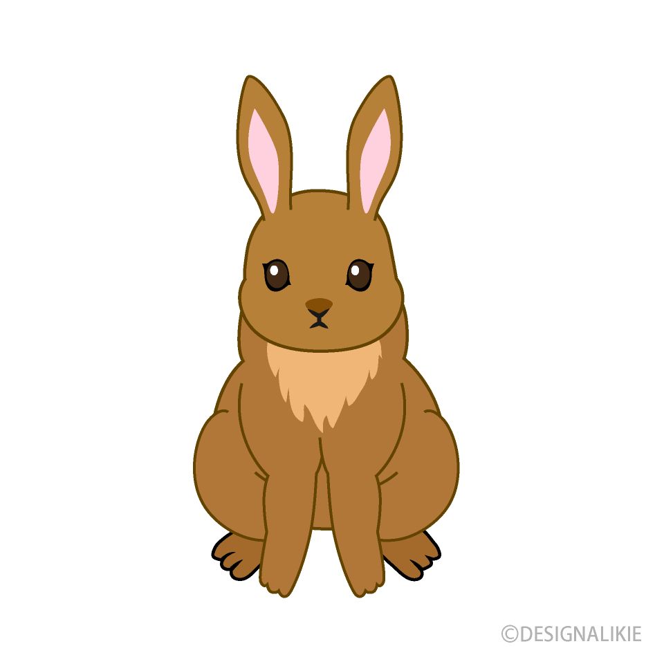 Brown Rabbit Front