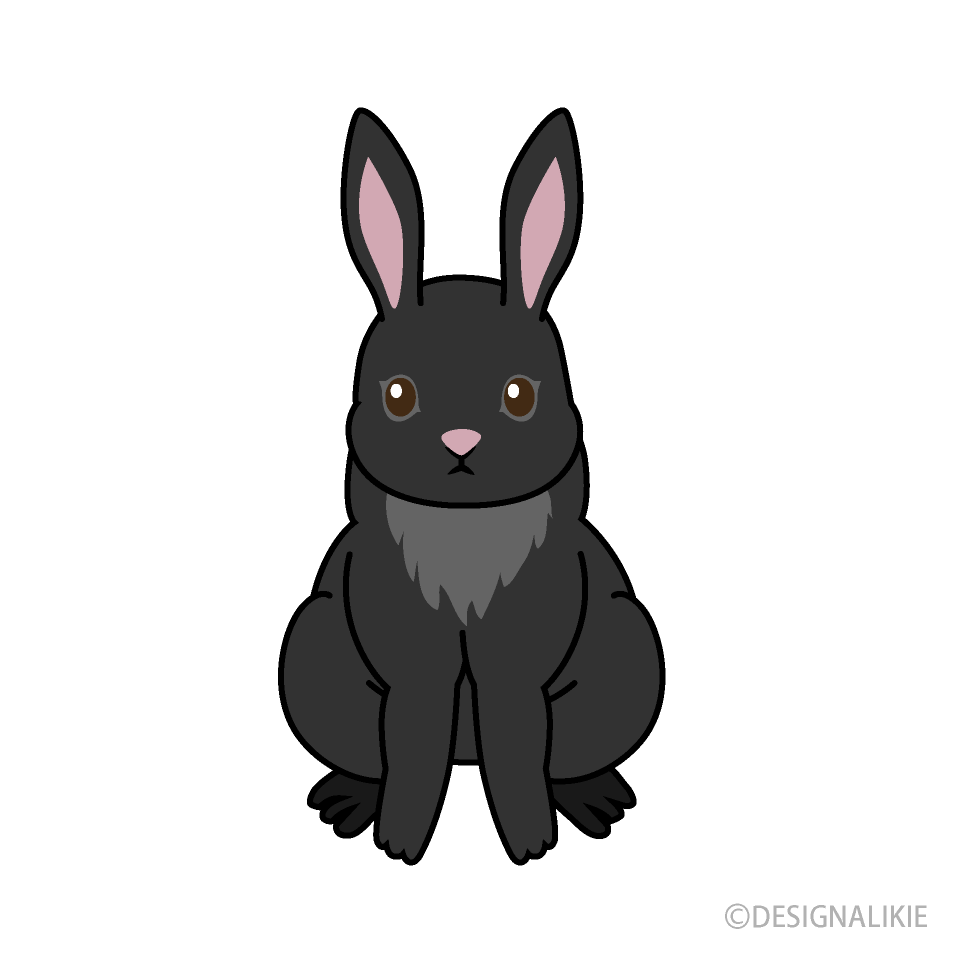 Frente de conejo negro