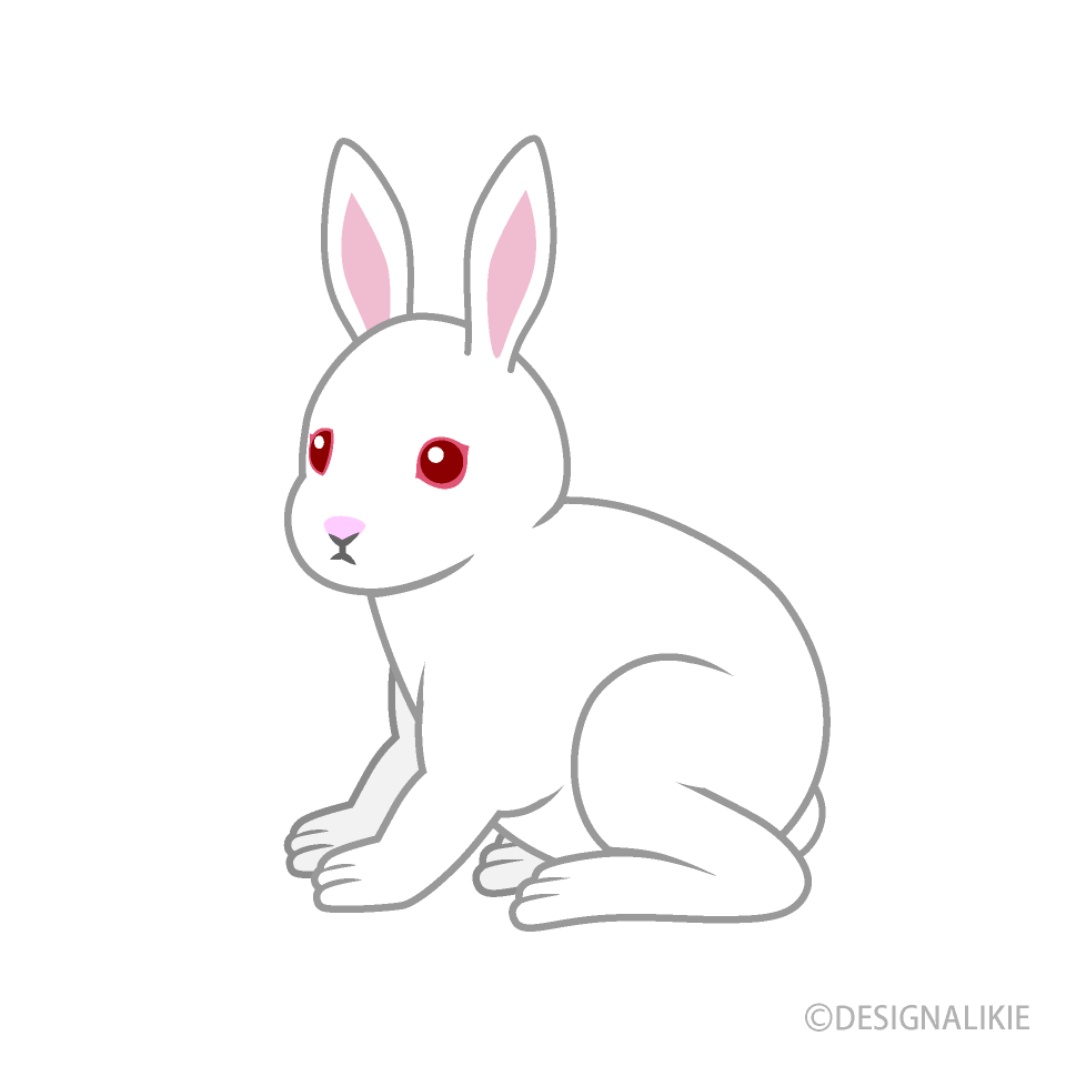 White Rabbit