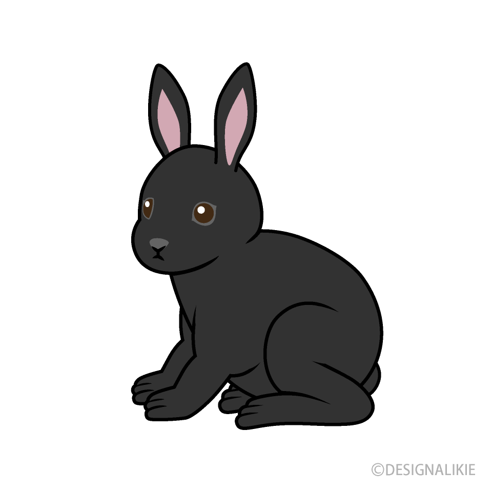 Black Rabbit