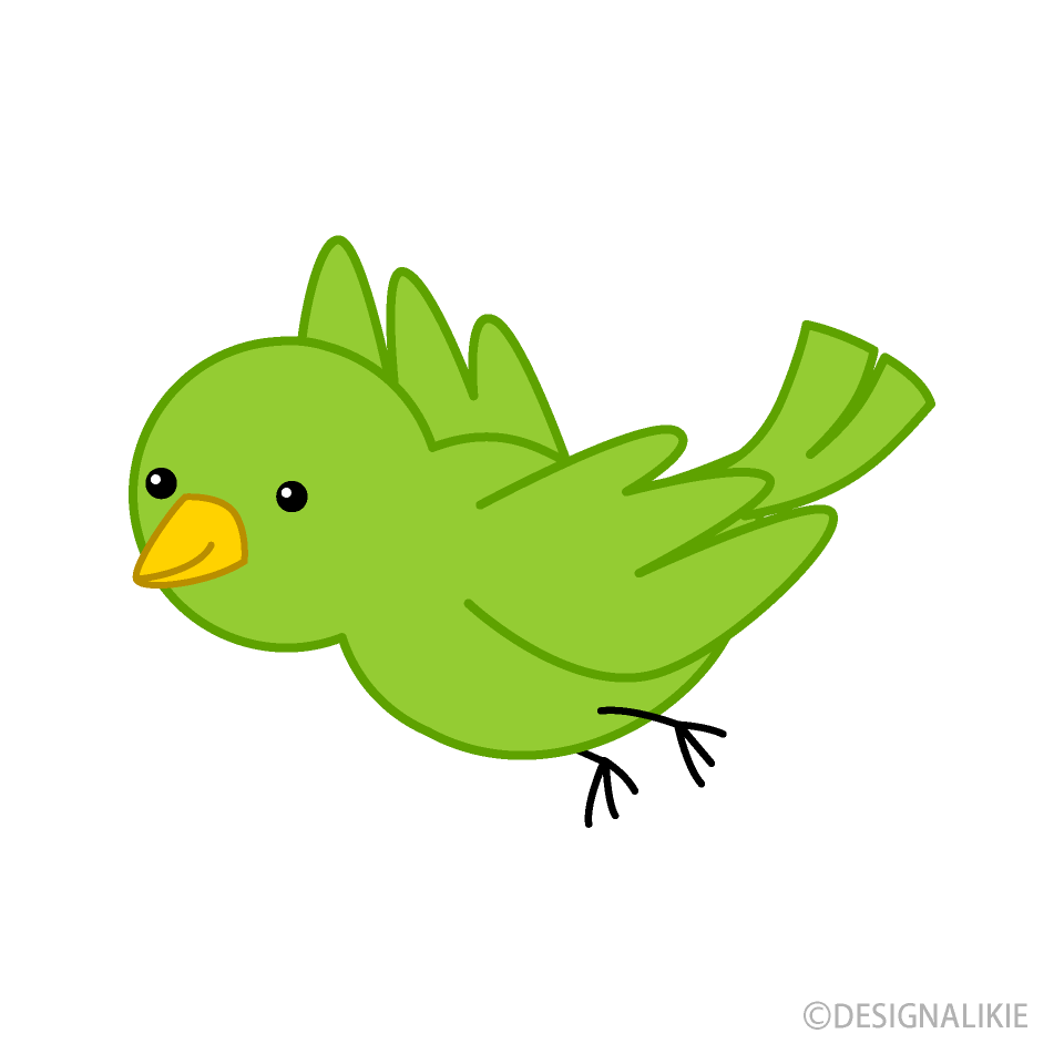 Little Bird