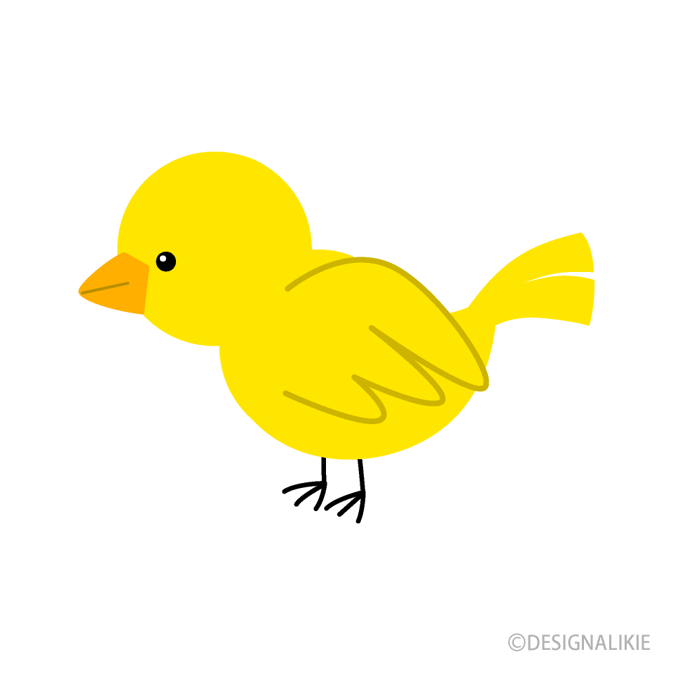 Yellow Little Bird