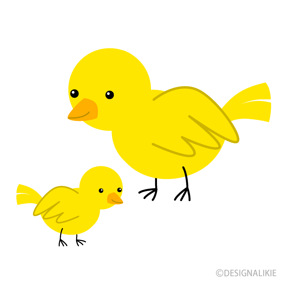 Padre e hijo pájaro amarillo