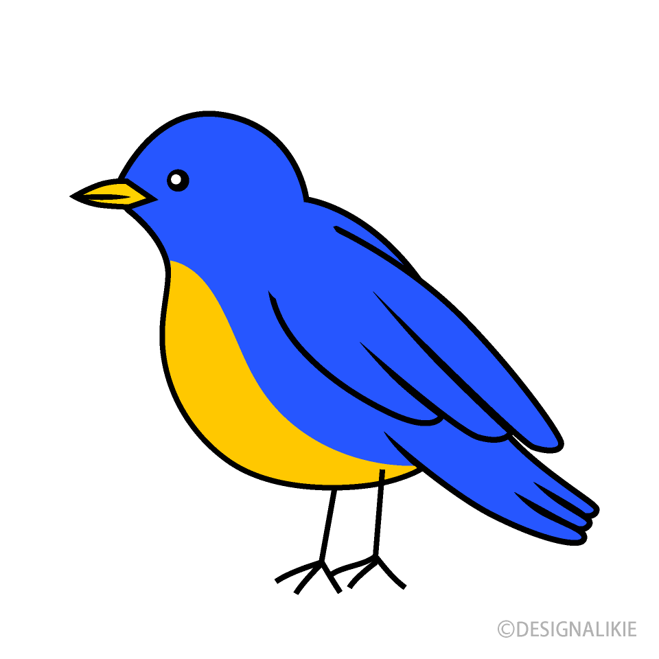Pájaro azul