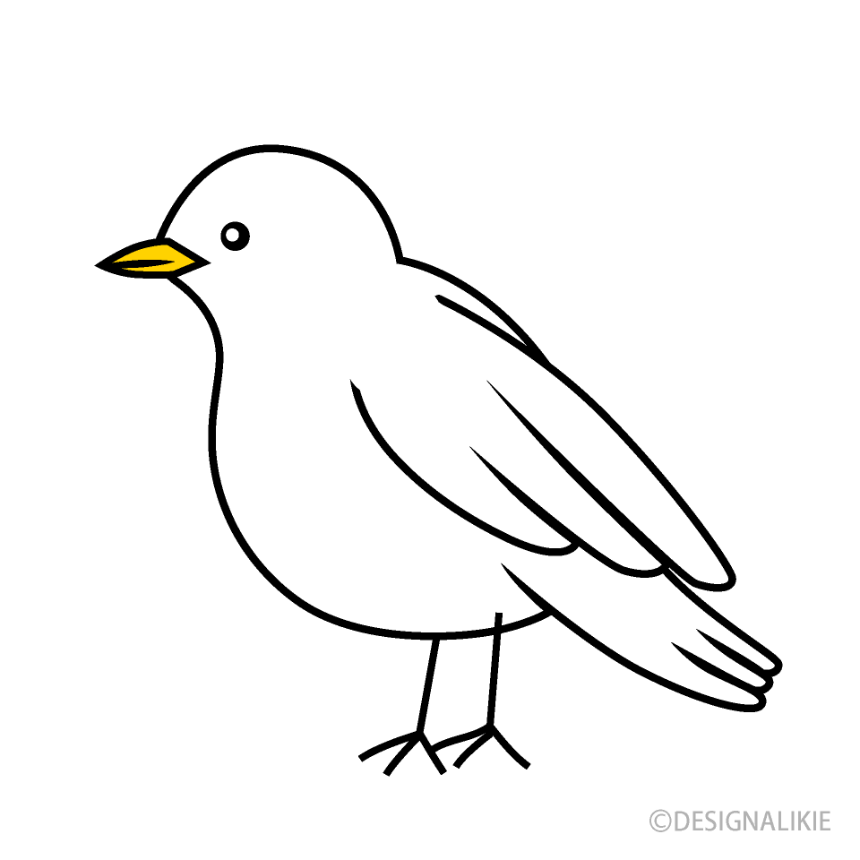 White Bird