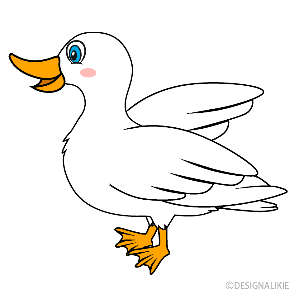 Pato blanco